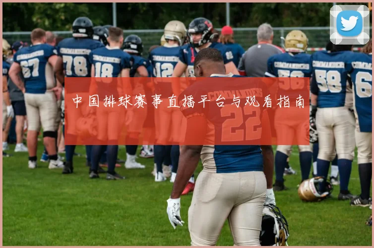 中国排球赛事直播平台与观看指南