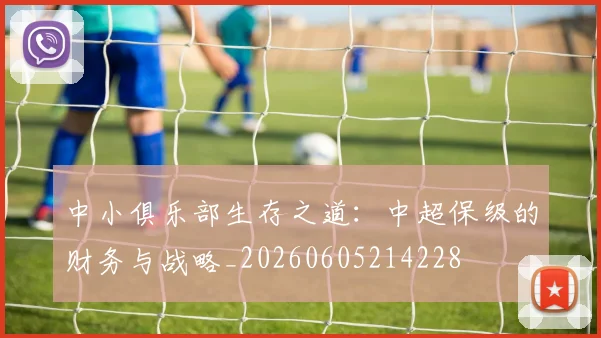 中小俱乐部生存之道：中超保级的财务与战略_20260605214228
