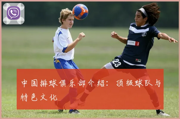 中国排球俱乐部介绍：顶级球队与特色文化