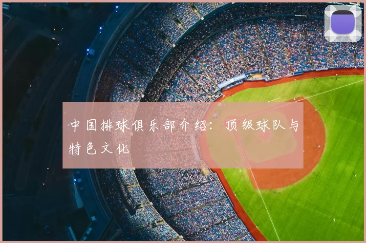 中国排球俱乐部介绍：顶级球队与特色文化