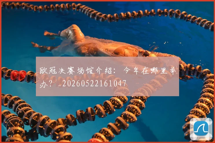 欧冠决赛场馆介绍:今年在哪里举办?_20260522161047