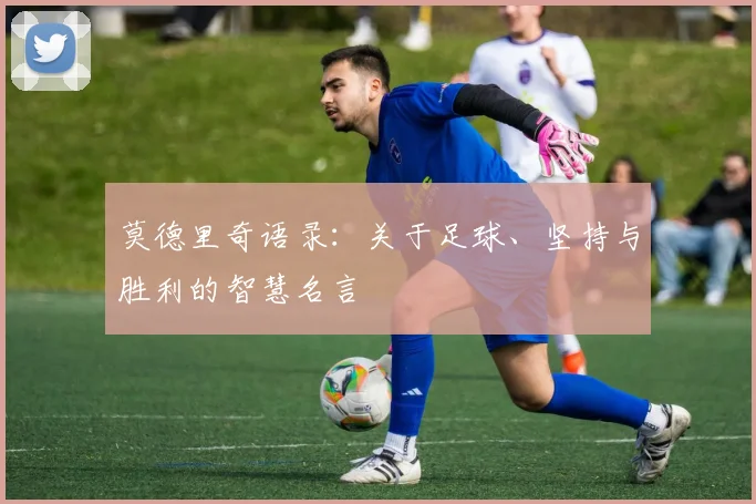 莫德里奇语录：关于足球、坚持与胜利的智慧名言