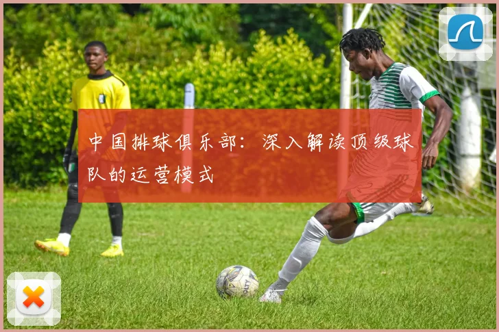 中国排球俱乐部：深入解读顶级球队的运营模式