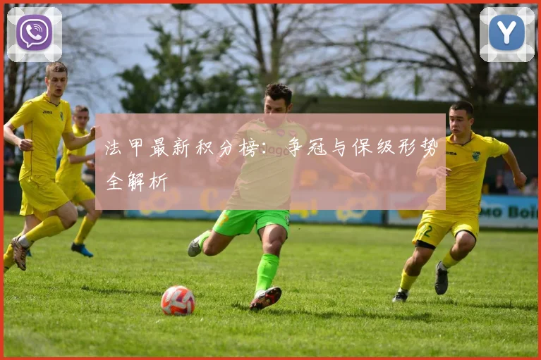 法甲最新积分榜:争冠与保级形势全解析